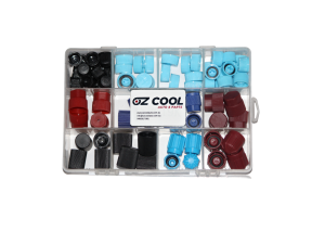 SERVICE PORT CAP KIT 56 PC