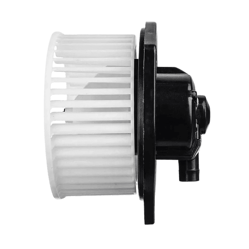 AC BLOWER MOTOR FITS HOLDEN RODEO RA 03-08, COLORADO RC 08-12